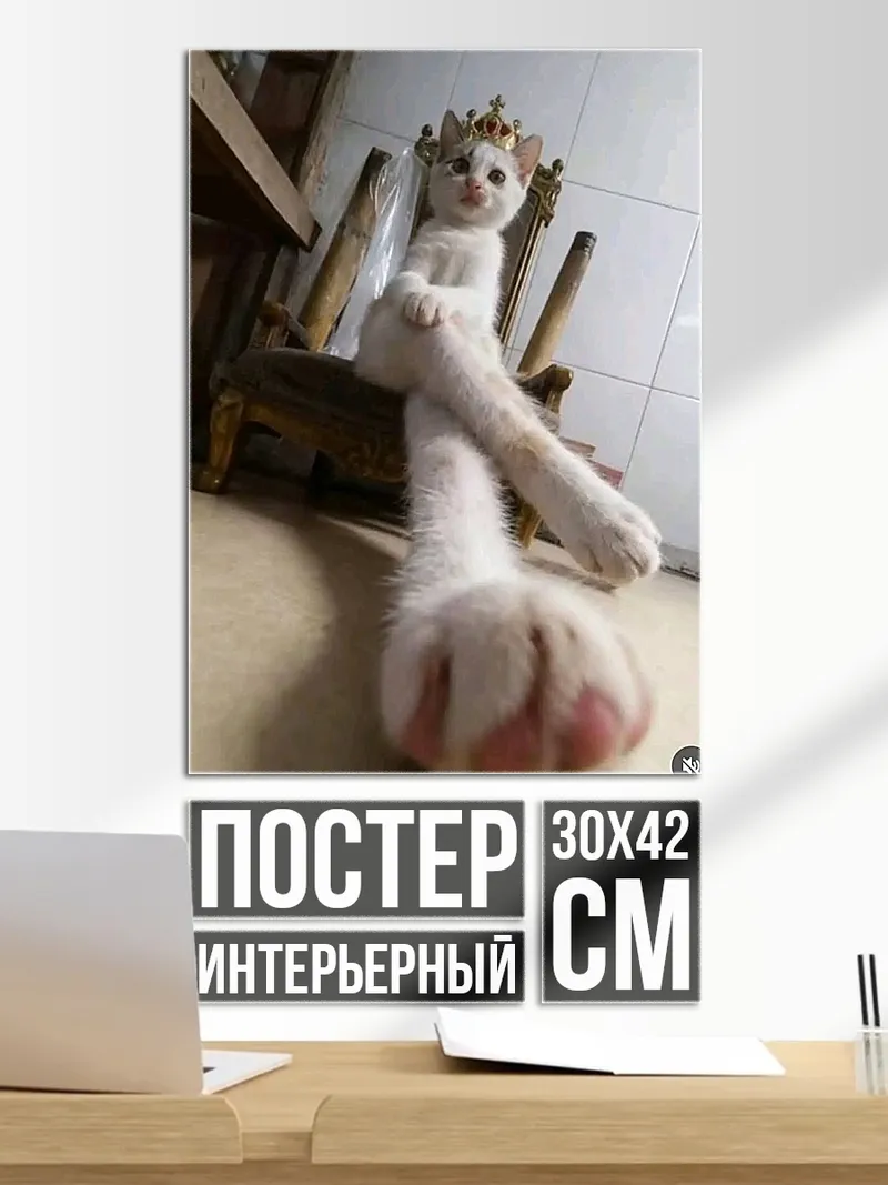 Постер Королева кошек