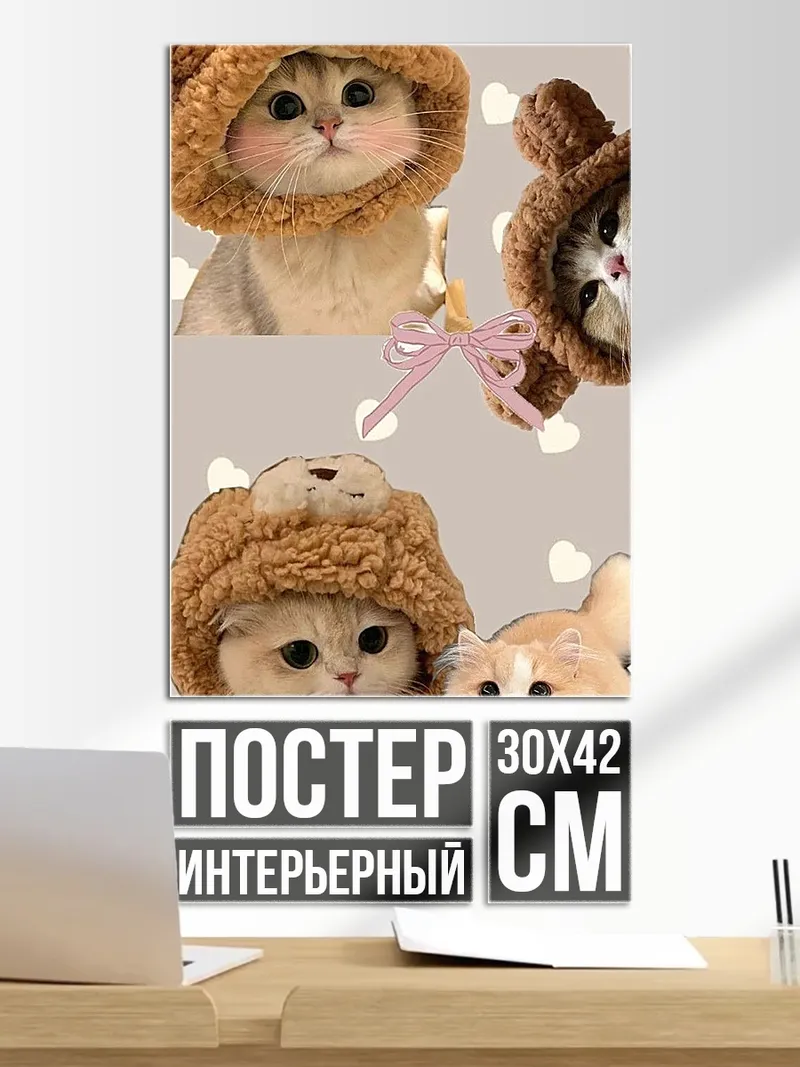 Постер Милые котики в шапках