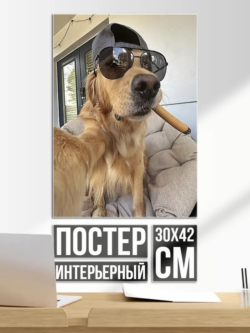 Постер Золотистый ретривер в очках