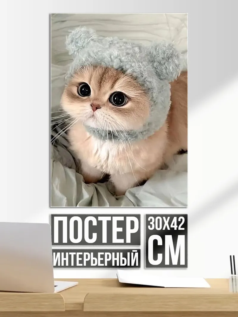 Постер Кот в шапке