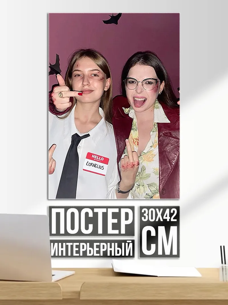 Постер Две девушки