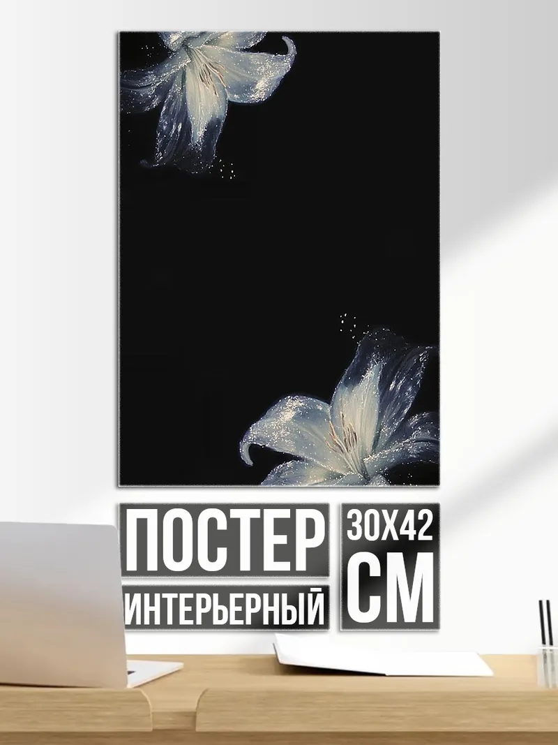 Постер Белые цветы на черном