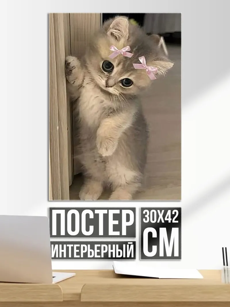 Постер Котенок с бантиком