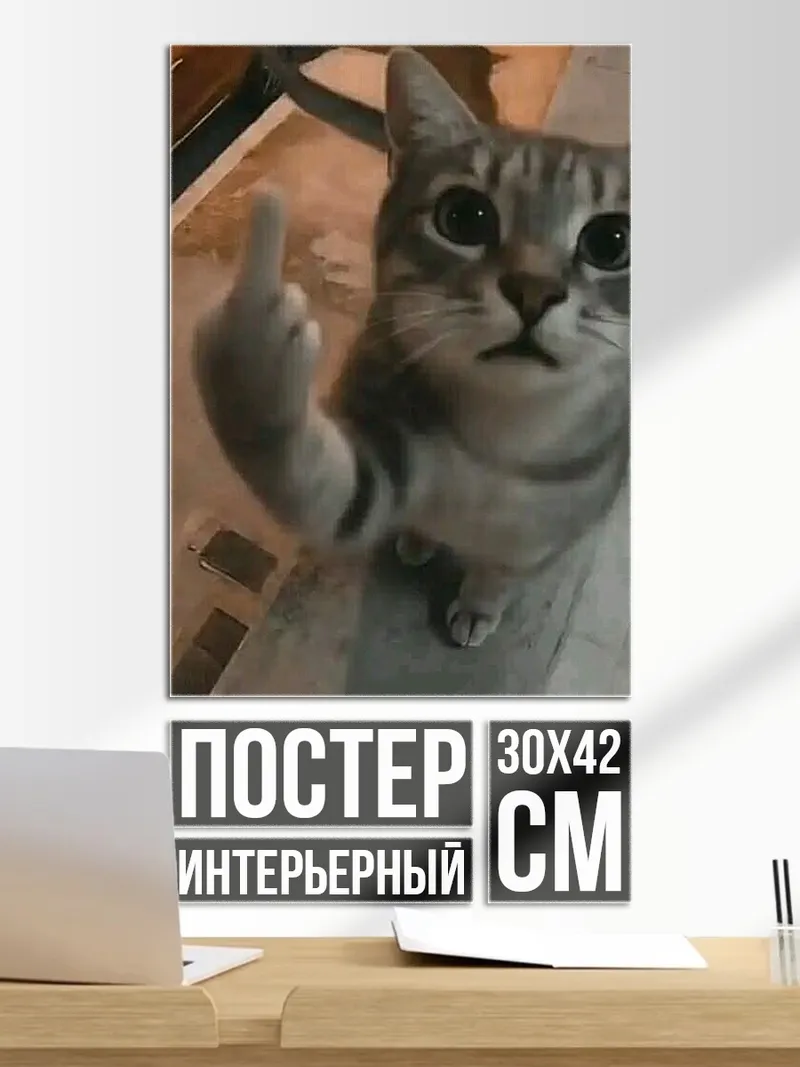 Постер Кот показывает средний палец