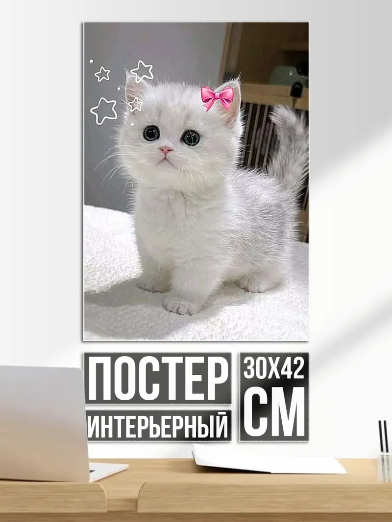 Постер Белый котенок с бантом