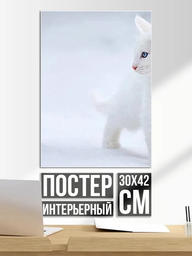 Постер Белый кот на снегу