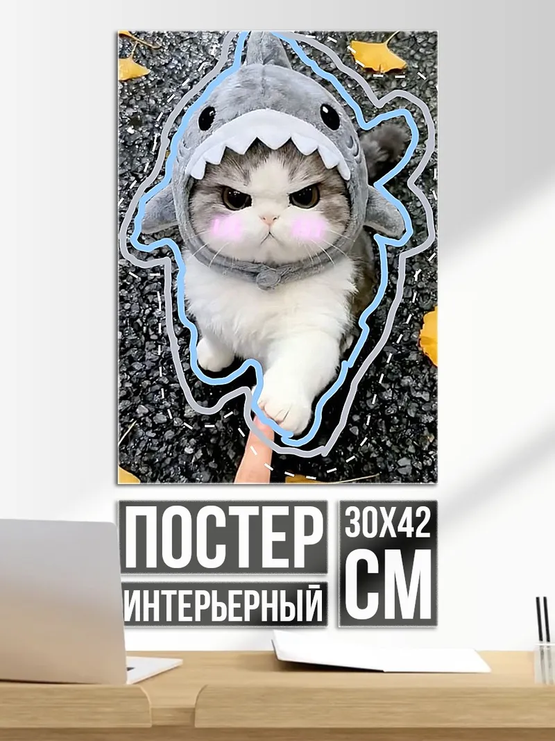 Постер Кот в костюме акулы