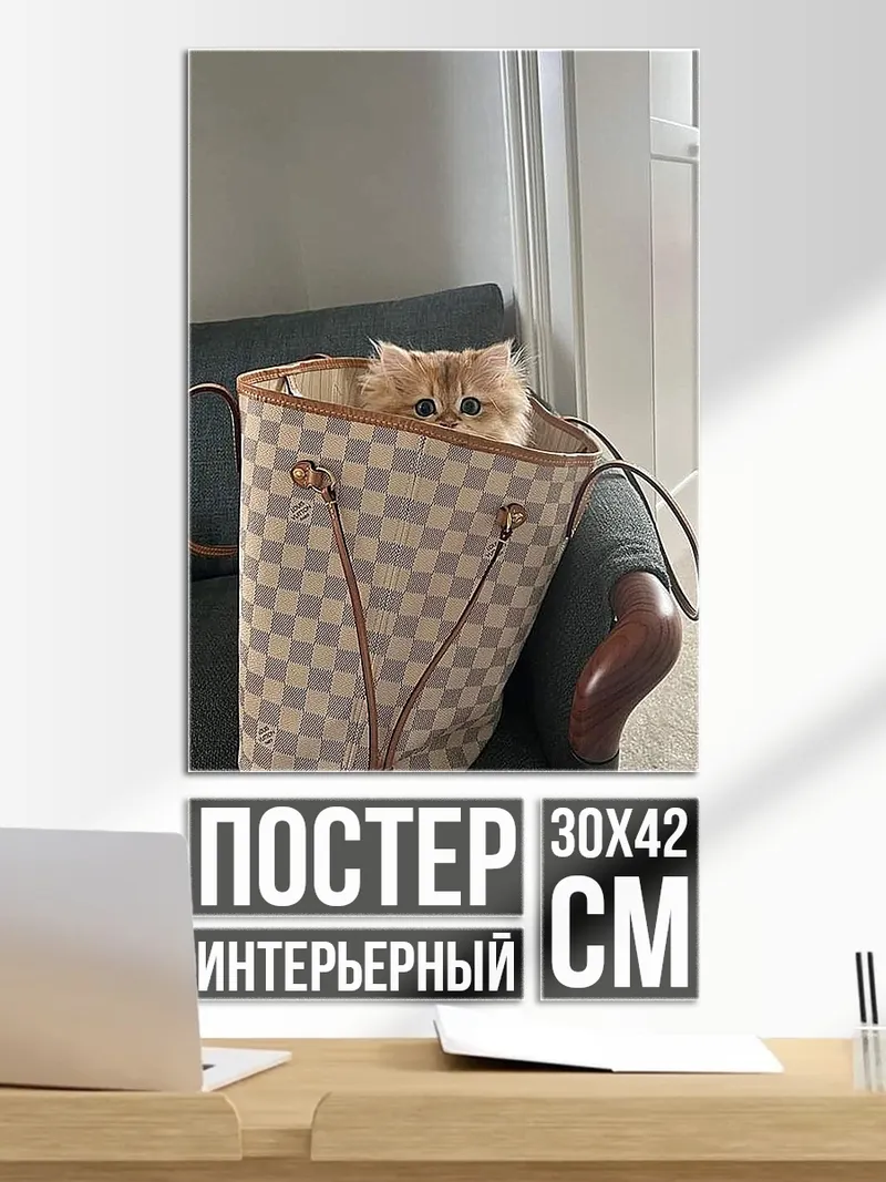 Постер Кот в сумке