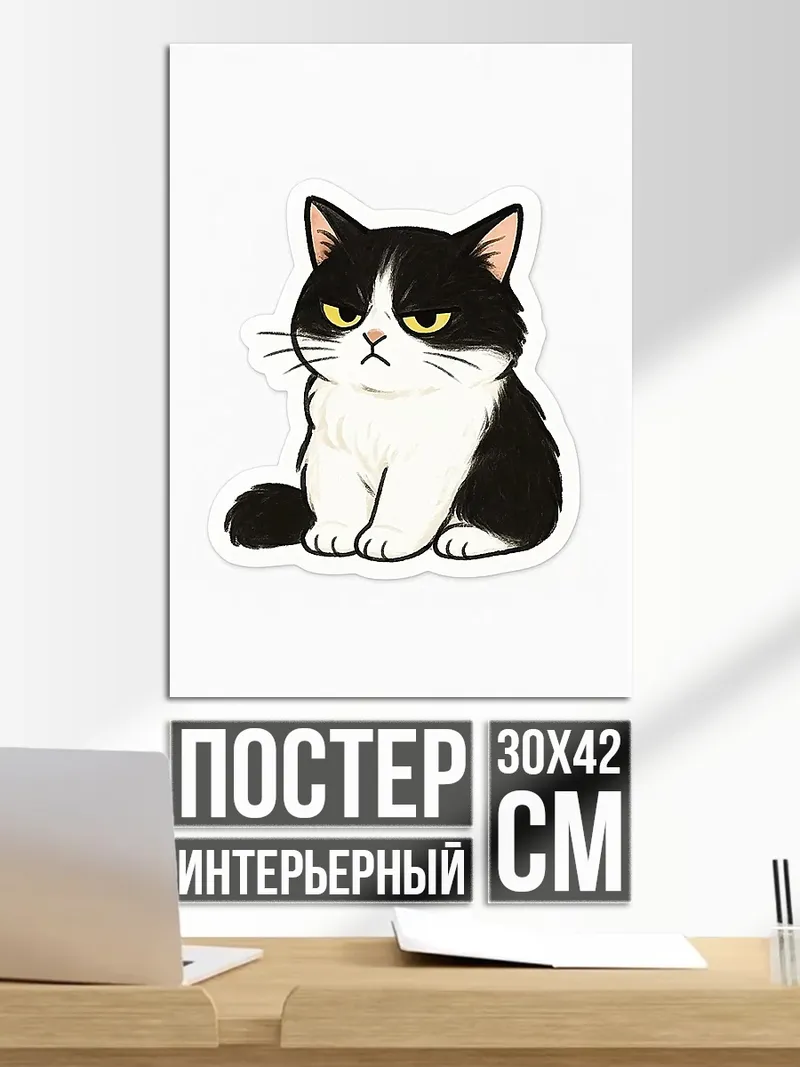 Постер Сердитый кот