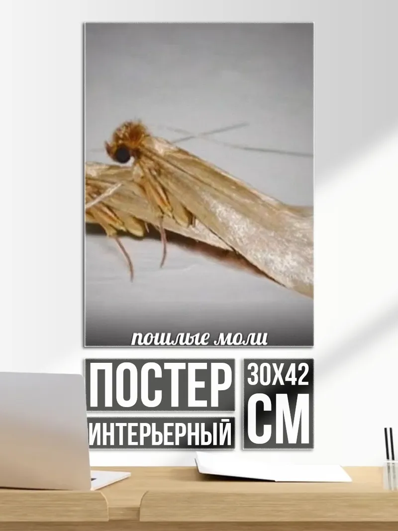 Постер Пошлые моли
