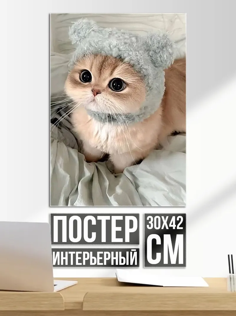 Постер Кот в шапке