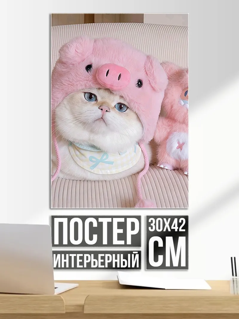 Постер Кот в шапке свинки