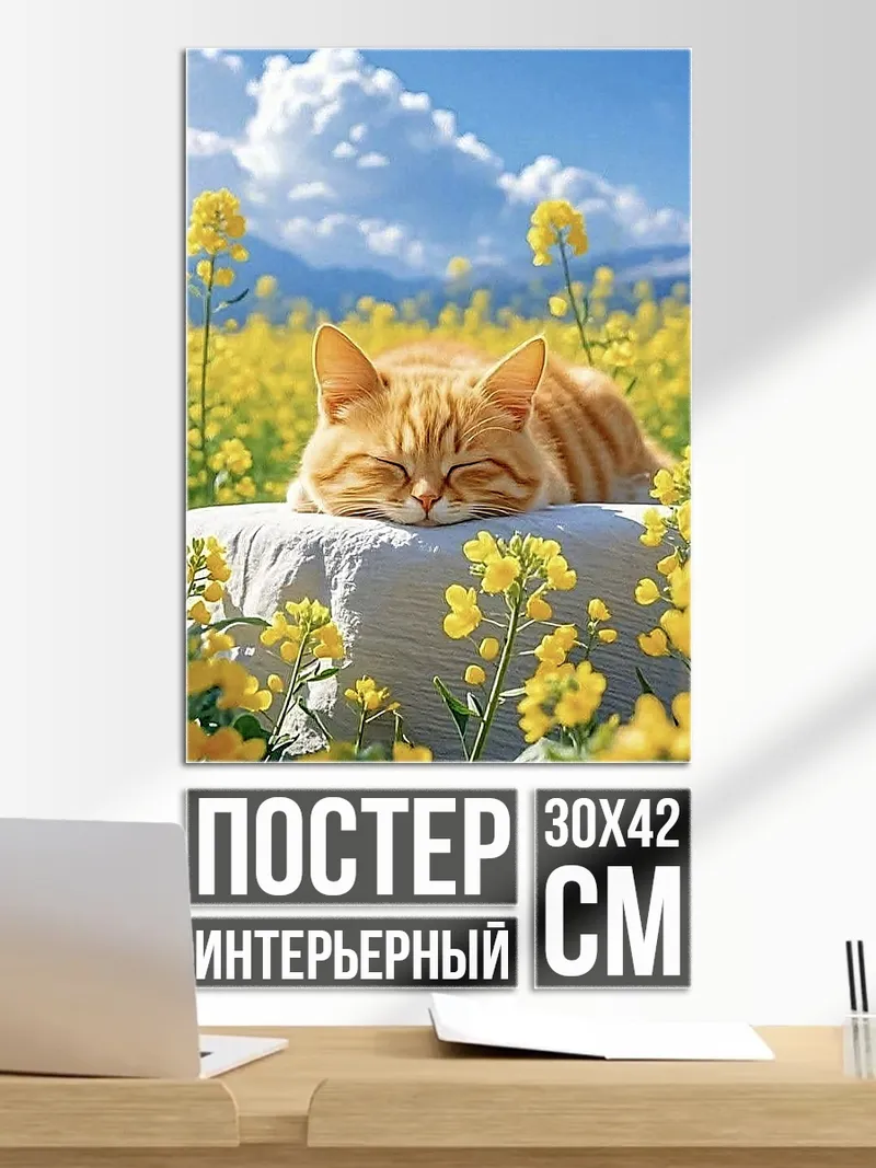 Постер Кот в поле цветов