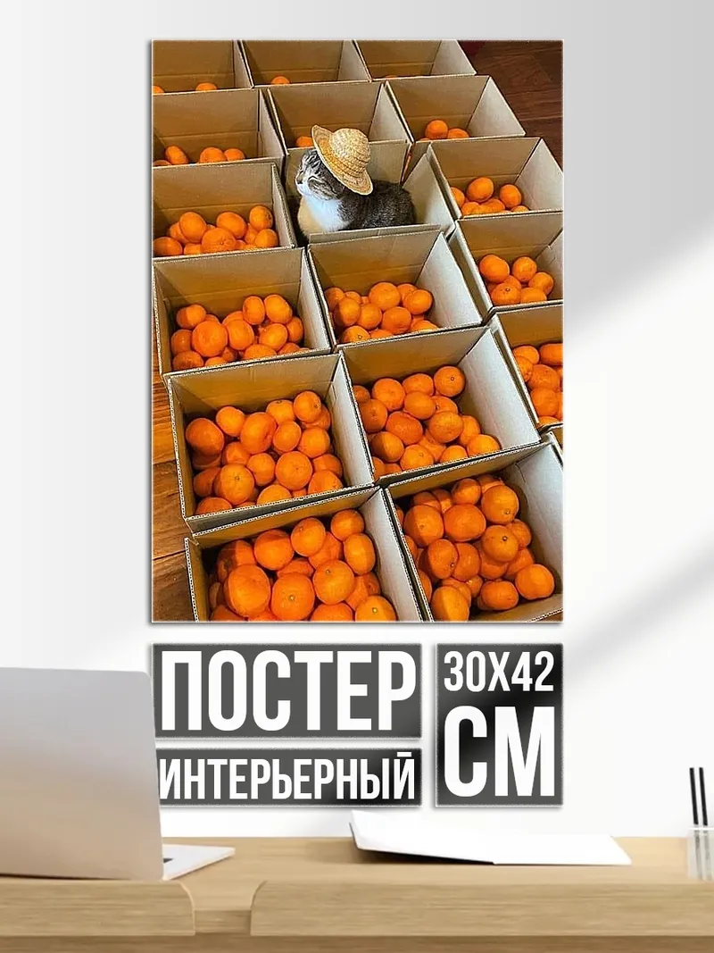 Постер Кот в шляпе