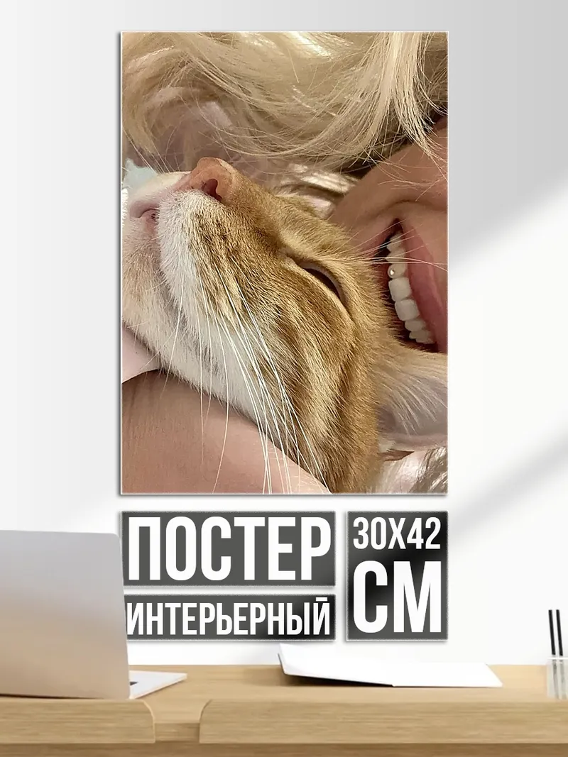 Постер Обнимашки с котом