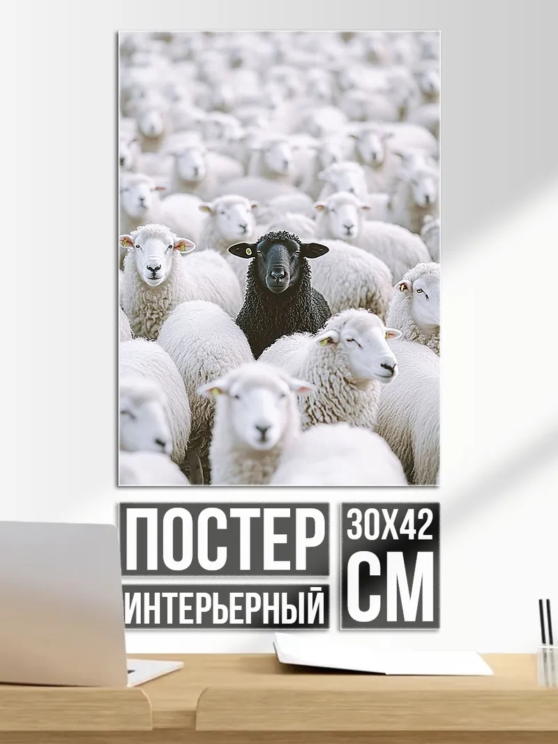 Постер Черная овца стада