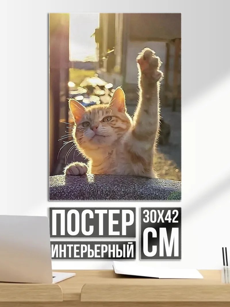 Постер Кот поднимает лапу