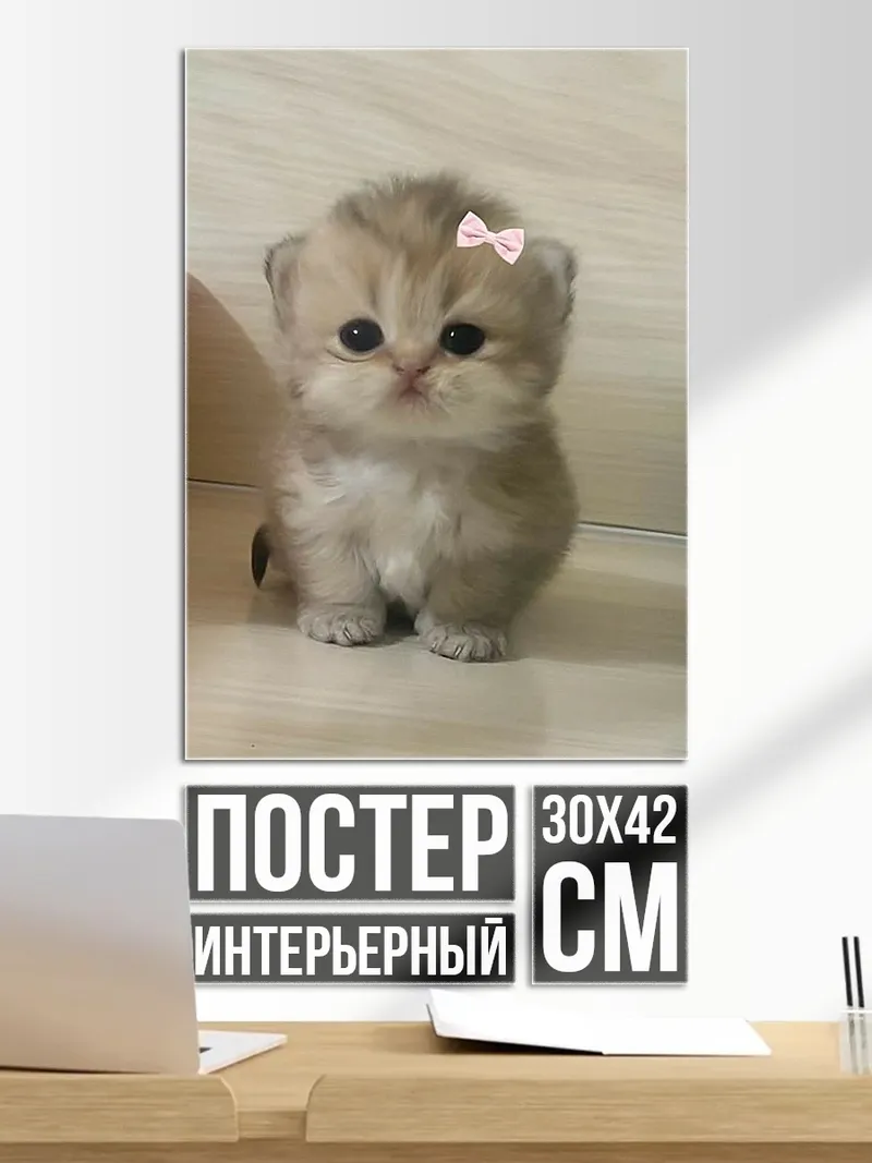 Постер Милый котенок с бантиком
