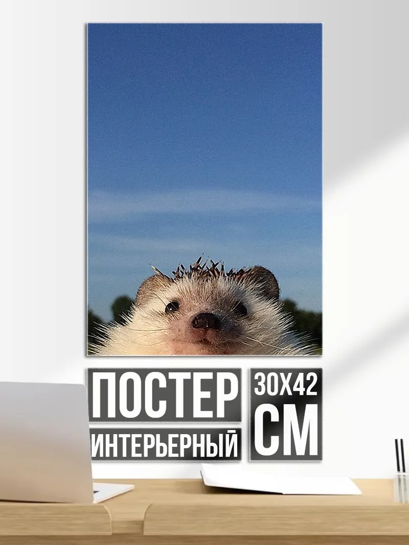 Постер Ёжик на фоне неба