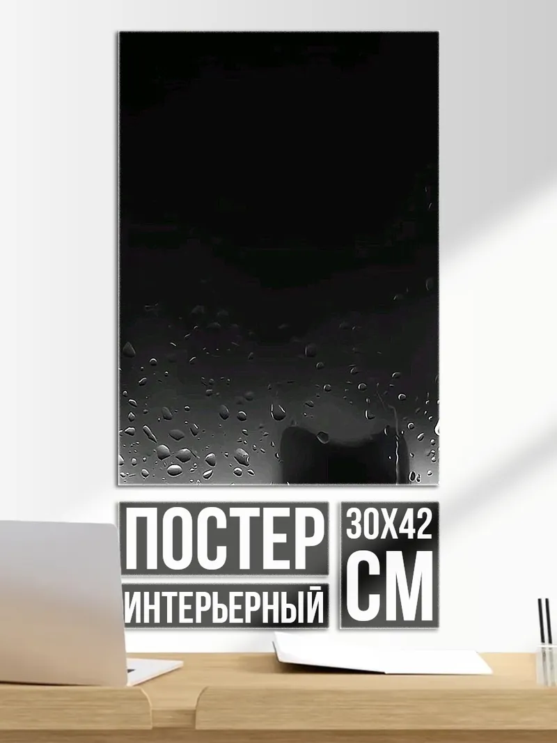 Постер Черный кот в дожде