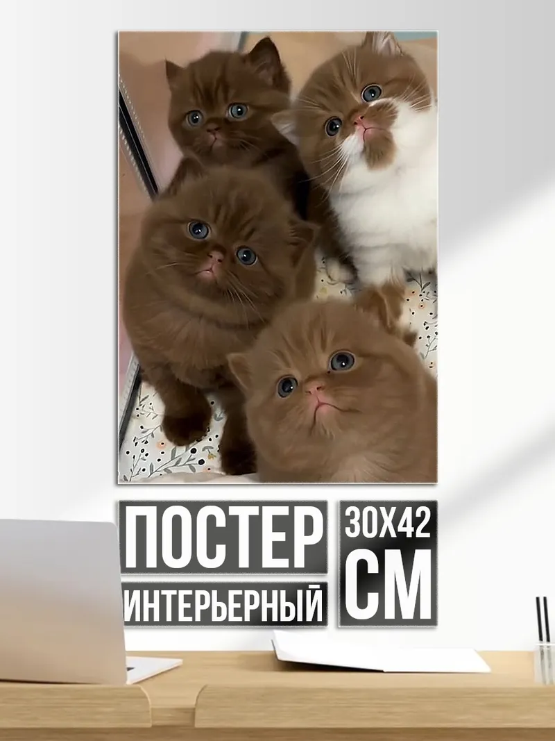 Постер Четыре котенка
