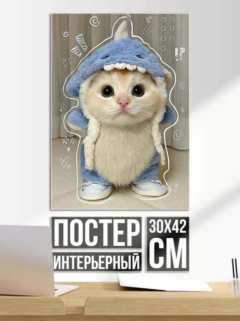 Постер Кот в костюме акулы