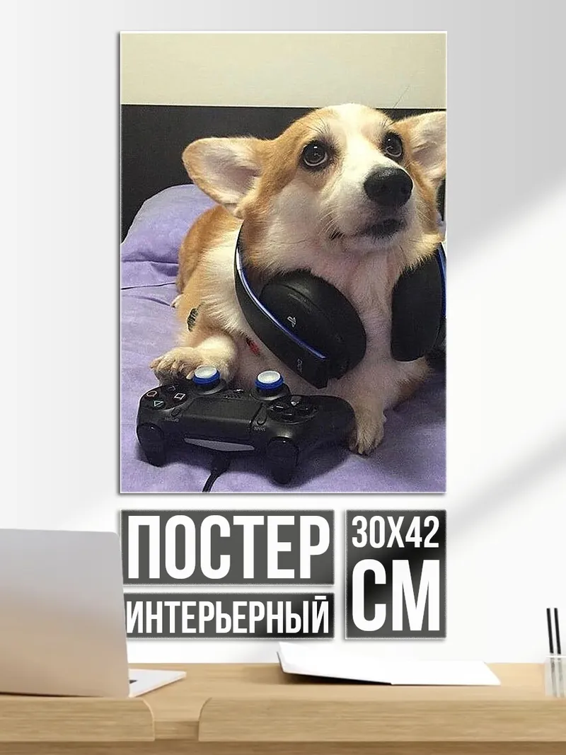 Постер Корги геймер с наушниками
