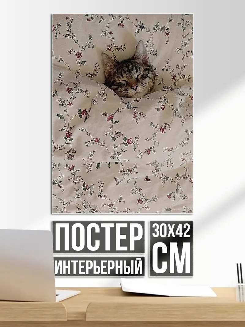 Постер Кот в цветастом пледе