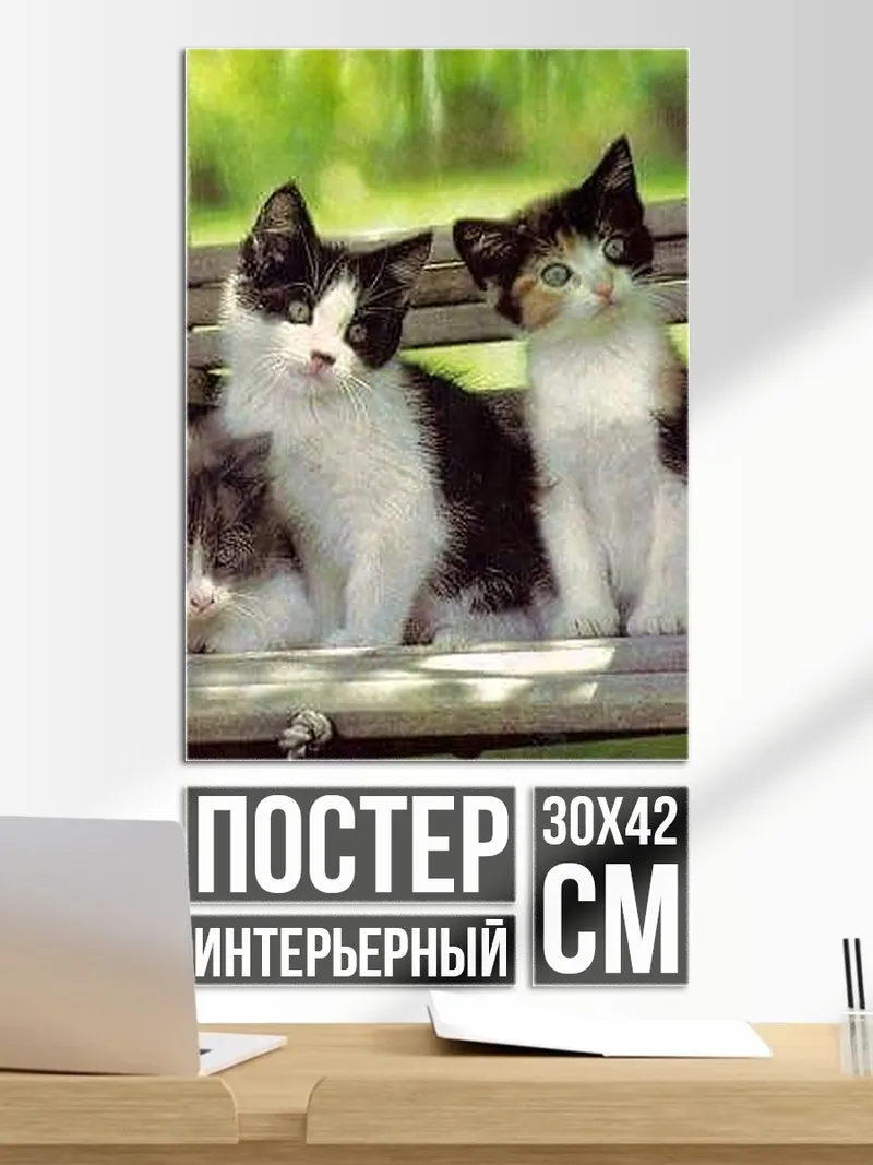 Постер Три котенка на скамейке