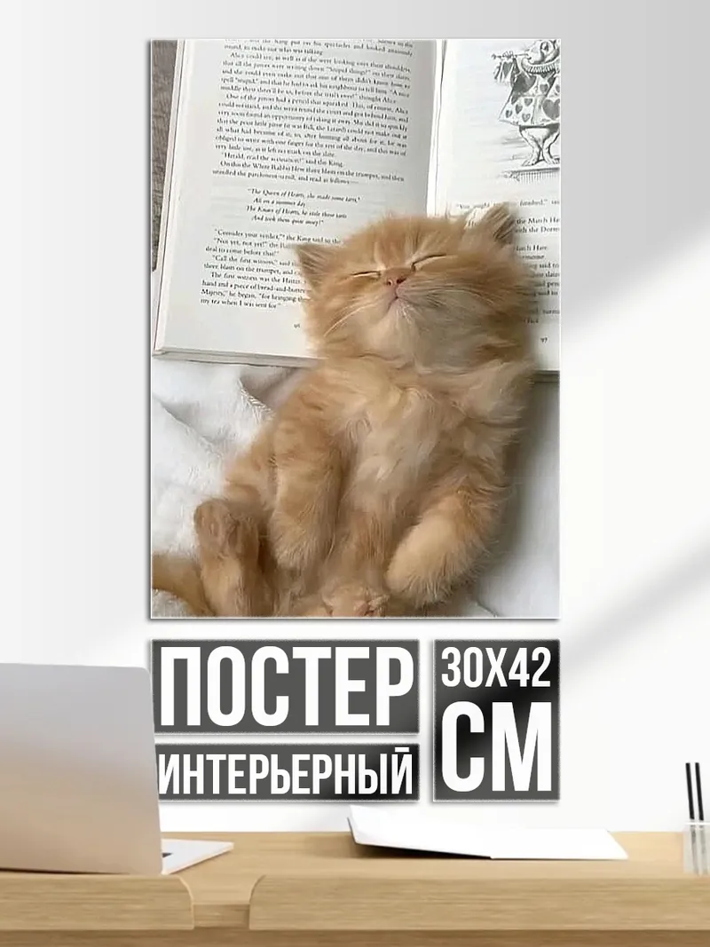 Постер Спящий котенок на книге