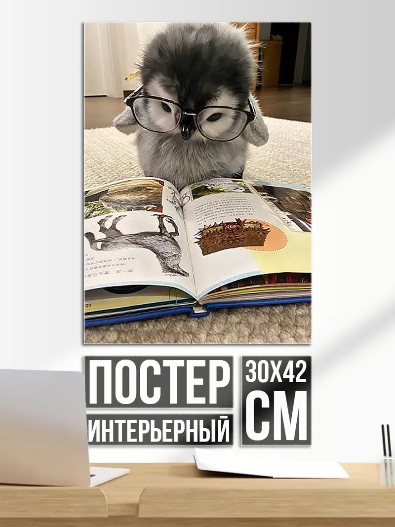 Постер Сова в очках читает