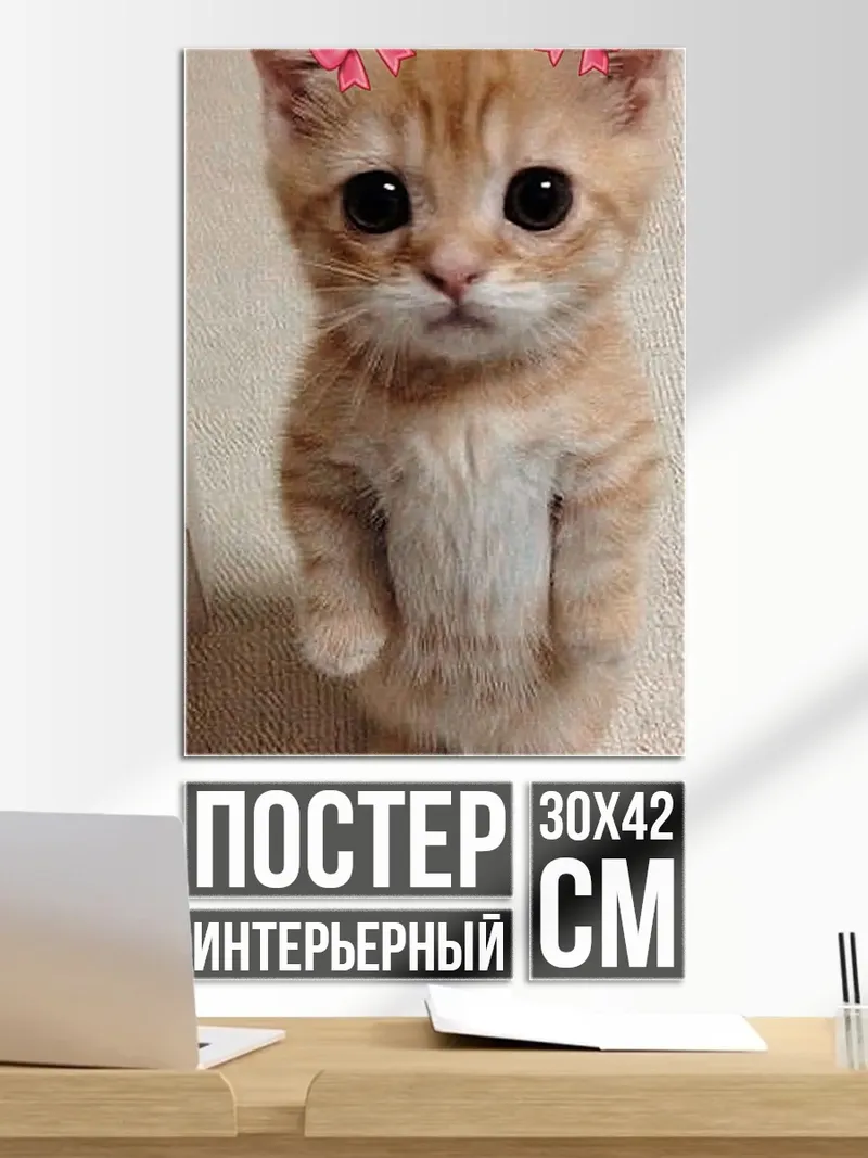Постер Котёнок с большими глазами