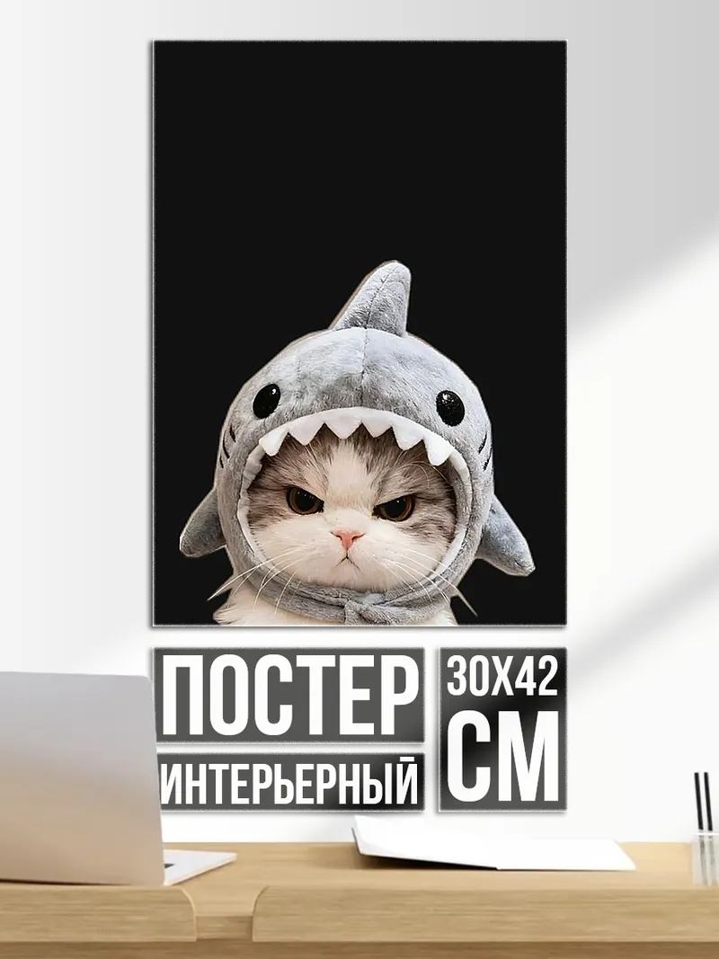 Постер Кот в акуле