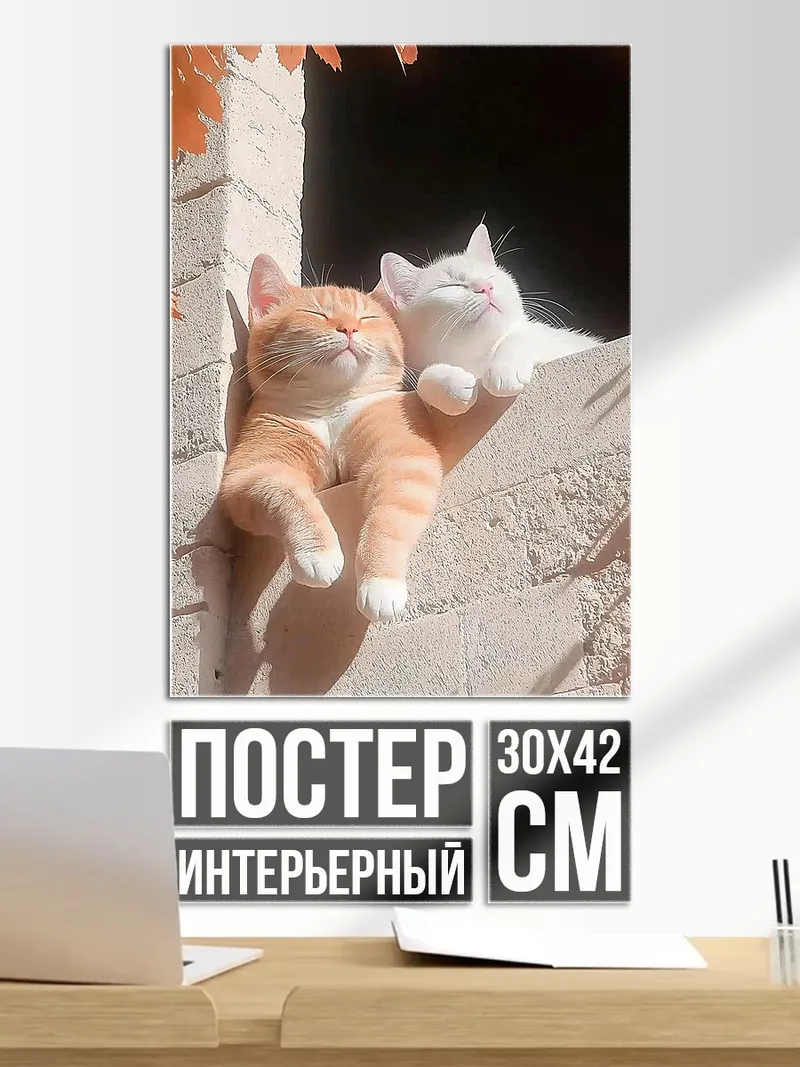Постер Два кота