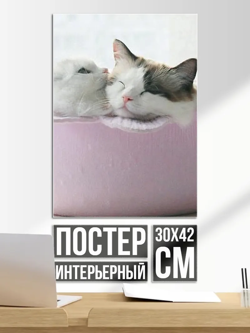 Постер Два котенка в корзинке