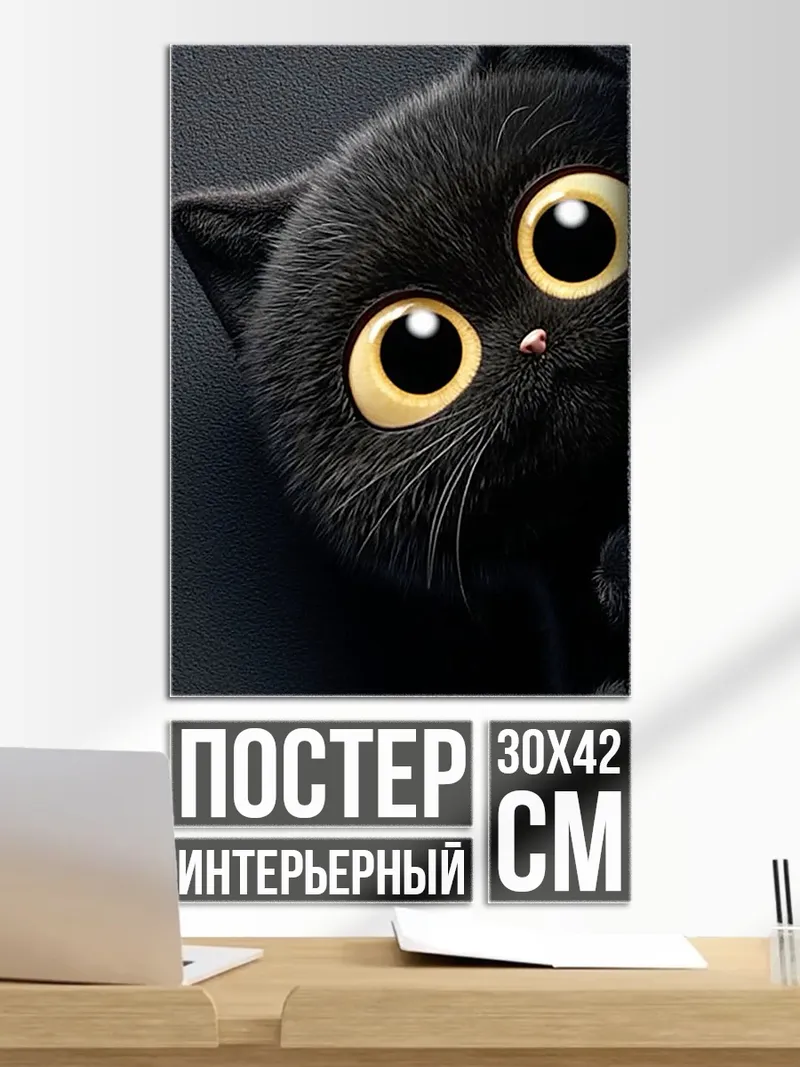 Постер Черный кот с большими глазами