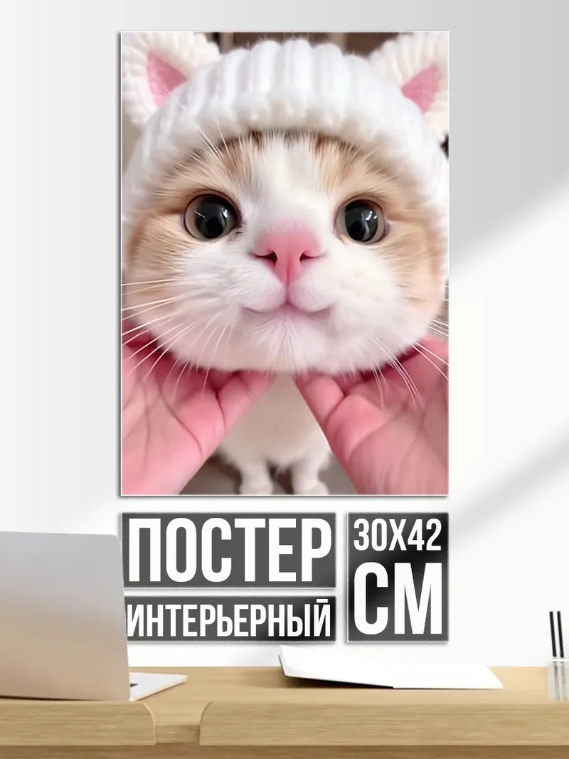 Постер Кот в шапке