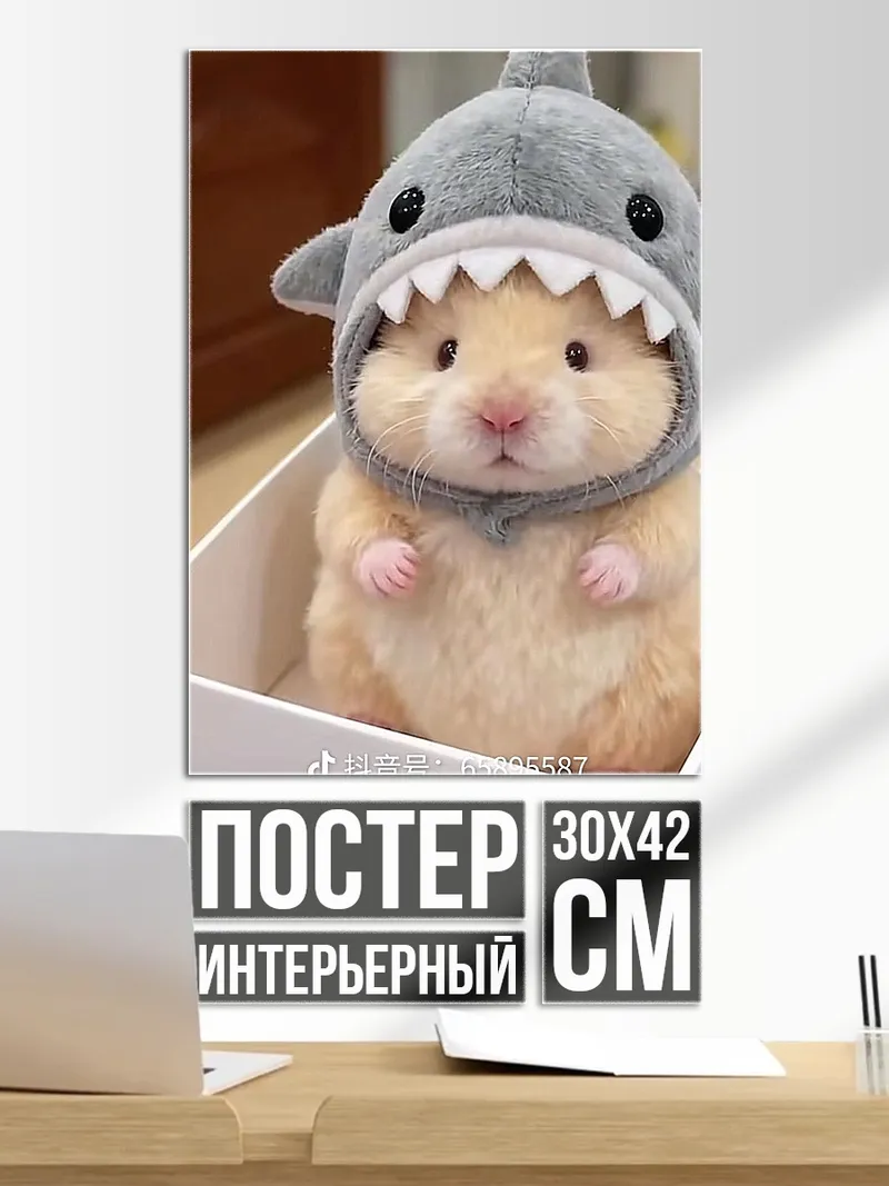 Постер Хомяк в шапке акулы