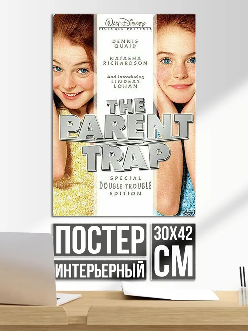 Постер Две сестры близнецы