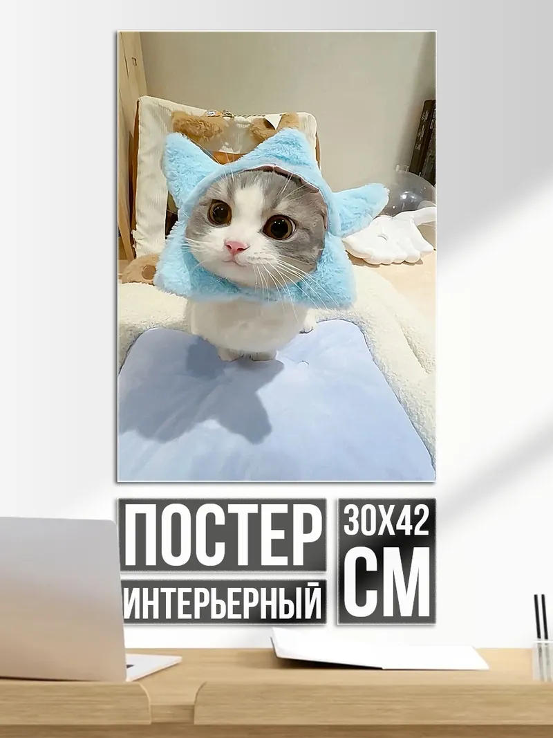 Постер Котенок в шапке звезды