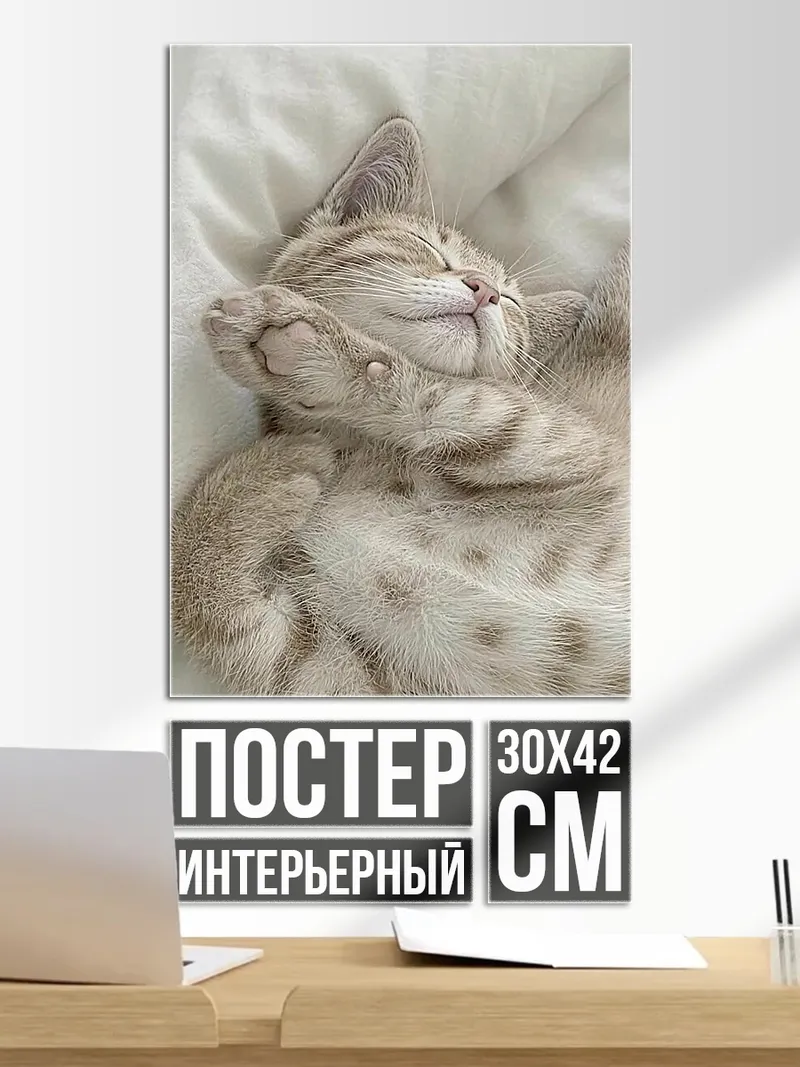 Постер Спящий котенок