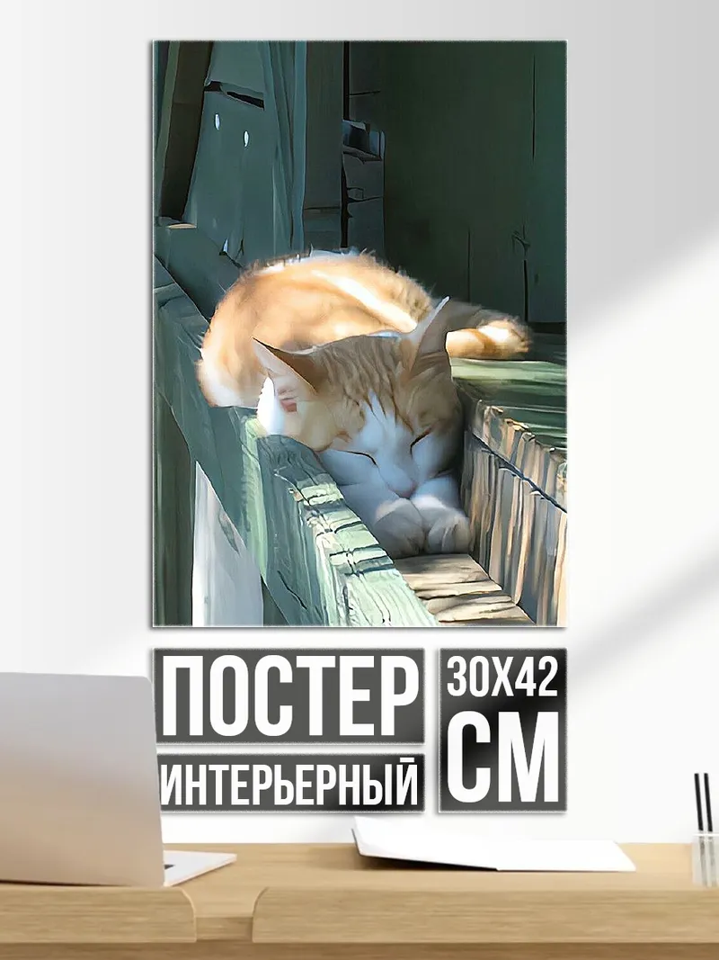 Постер Спящий кот