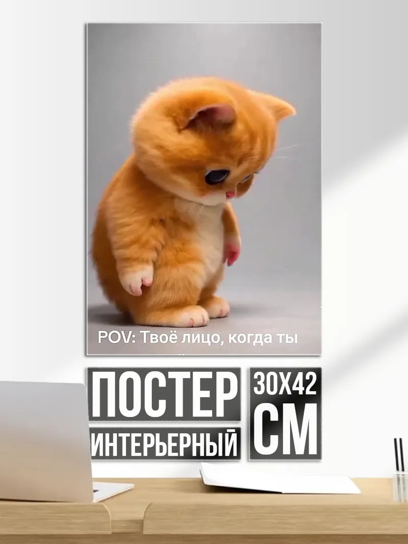 Постер Грустный котенок