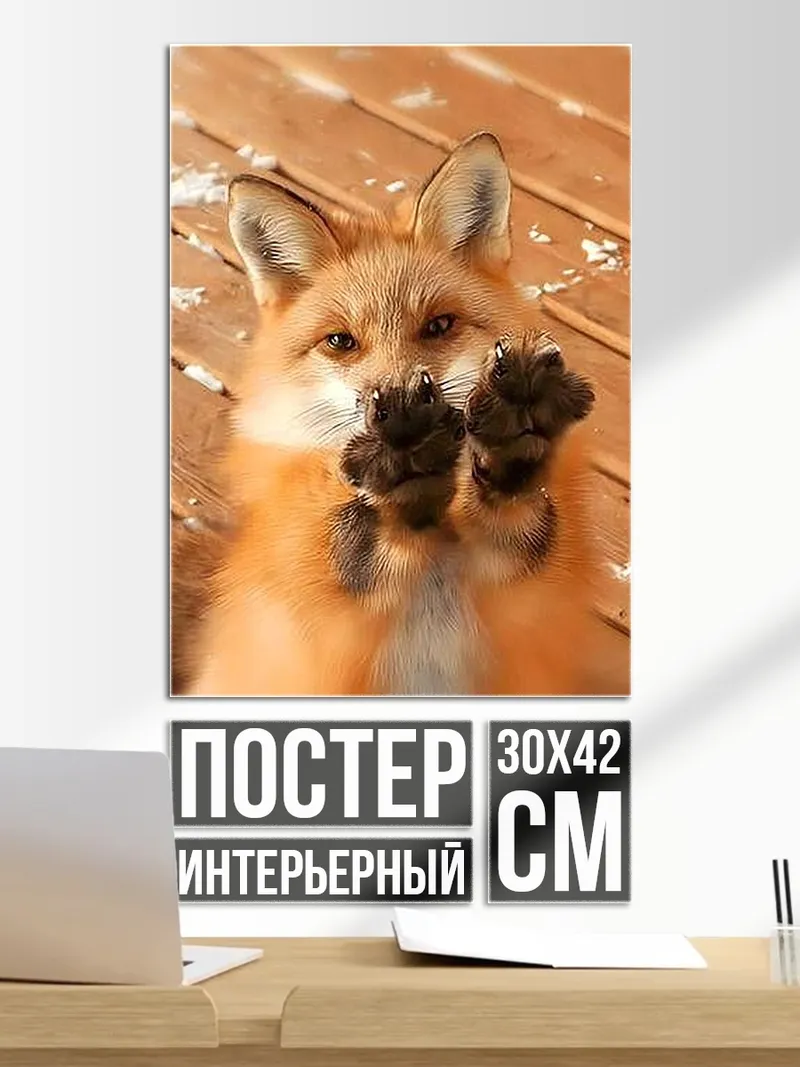 Постер Лиса показывает лапы