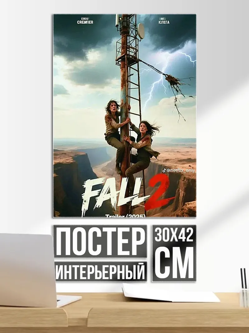 Постер Две девушки на вышке
