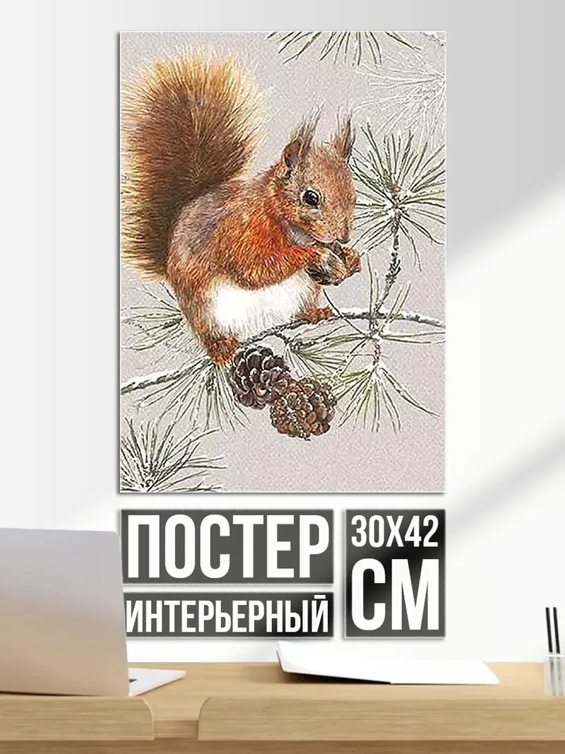 Постер Белка на ветке