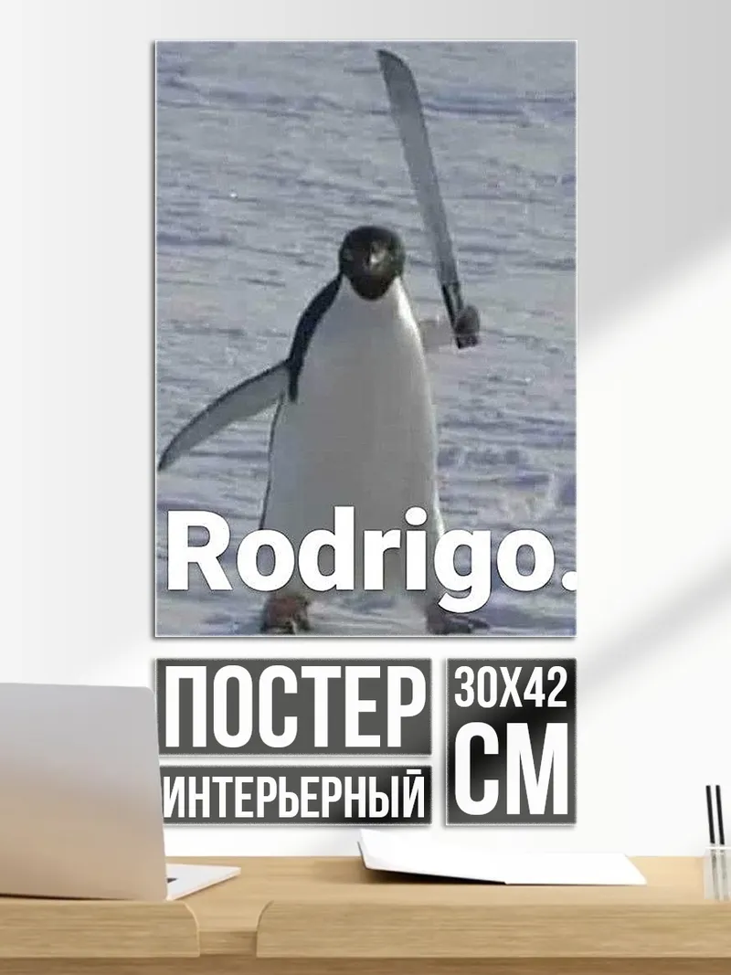 Постер Rodrigo