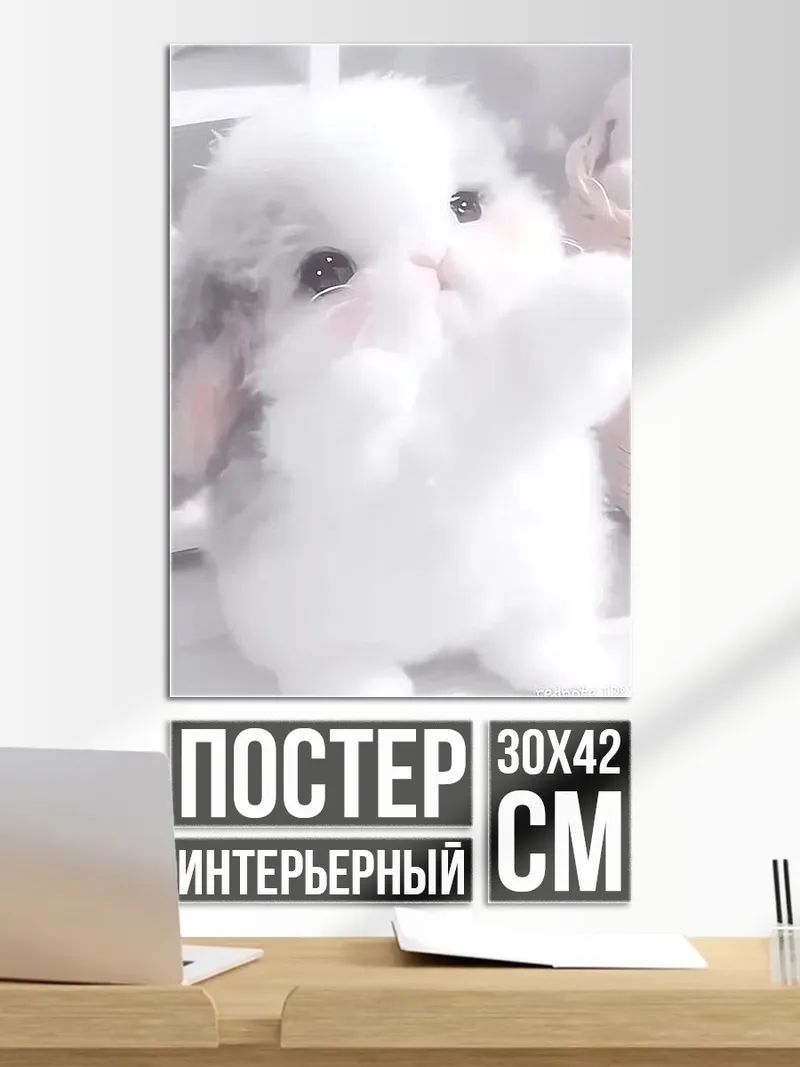 Постер Пушистый кролик
