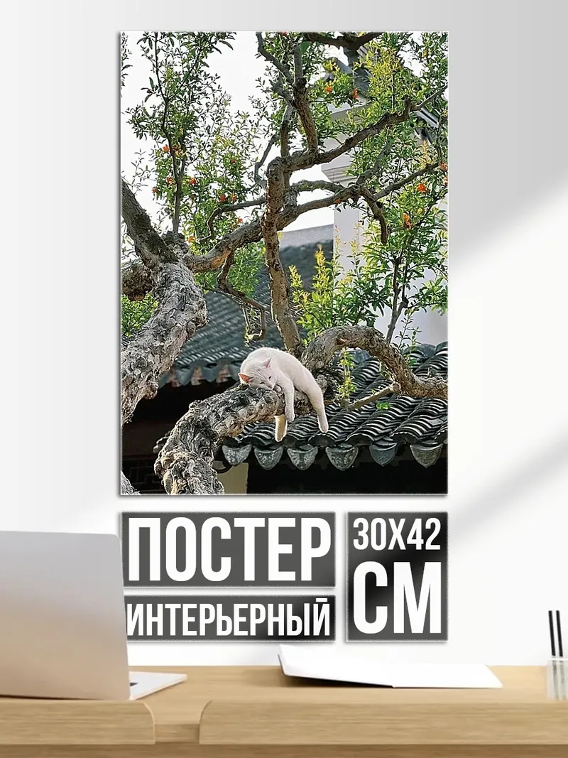 Постер Кот на крыше