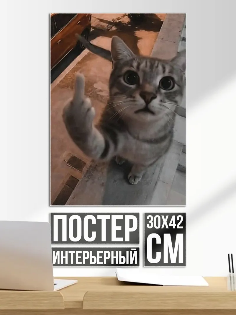 Постер Кот показывает средний палец